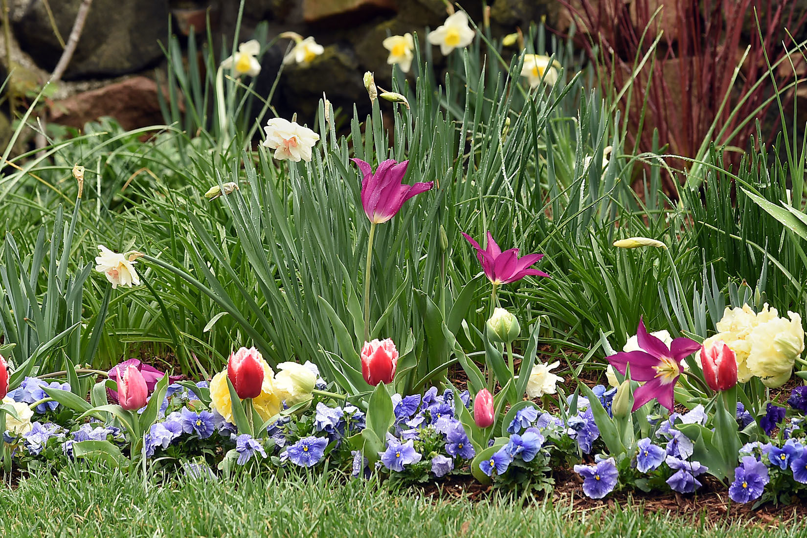 First Day of Spring